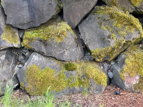 Moss-covered rocks in a wall Stock Photos