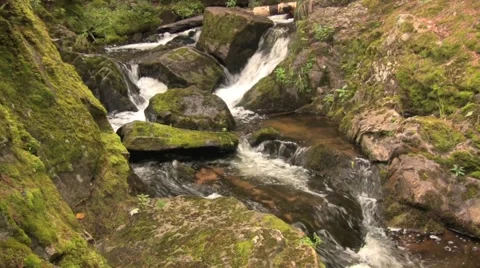 Moss covered rocks with waterfall Stock Footage 973961