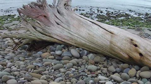 Moss covered rocks at the waters edge Stock-Footage 52552109