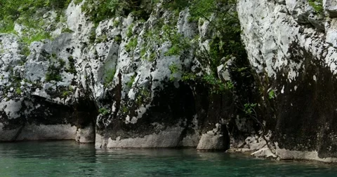 Moss-covered rocky banks of a mountain river. Stock Footage 247701034