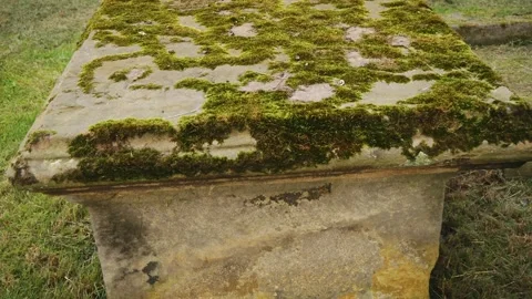 Moss covered sandstone table tomb graveyard tilt motion stock footage 스톡 동영상 332835556