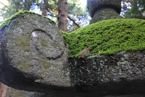 Moss covered stone lantern (Tōrō) at Fujiyoshida Sengen Shrine Stock Photos