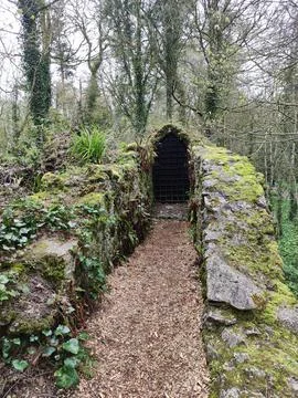 Moss Covered Stone Path Through Forest Ruins Stockfoto's
