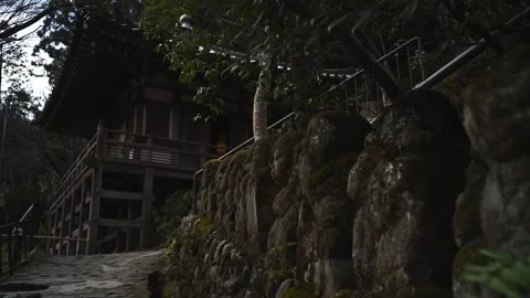 Moss Covered Stone Statues in Japanese Temple Garden Stock Footage 331557520