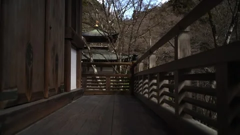 Moss Covered Stone Statues in Japanese Temple Garden Stock Footage 331557522