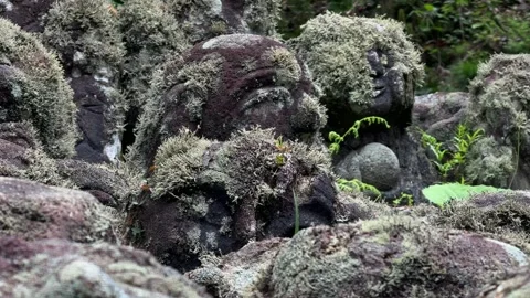 Moss covered stone statues of Rakan disciples of Buddha at Otagi Nenbutsu-ji 動画素材 346611373
