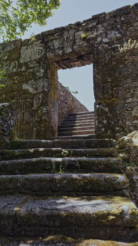 Moss-Covered Stone Steps Leading to Archway Stock Footage 278398517