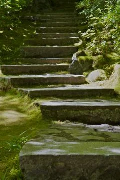 Moss covered stone steps Stock Photos