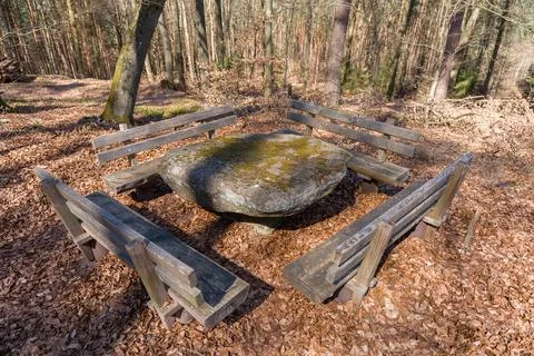 Moss-Covered Stone Table Surrounded by Wooden Benches in Quiet Forest Clearing Stock Photos