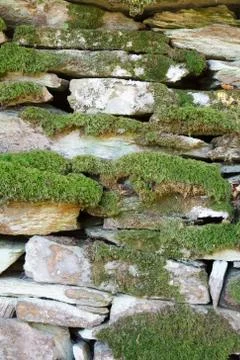 Moss covered stone wall Stock Photos
