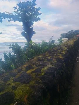 Moss covered stone wall Stock Photos