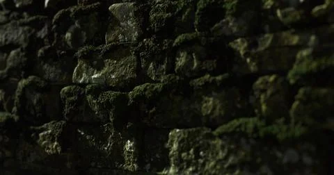 Moss covered stone wall showcases natures resilience in urban setting Stock Illustration
