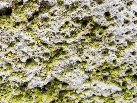 Moss covered stone wall texture as background natural pattern design element Stock Photos