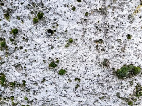 Moss covered stone wall texture as background natural pattern design element Foto stock