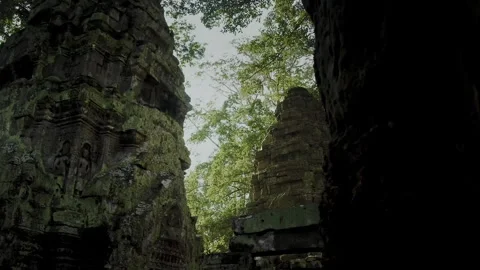Moss covered Ta Prohm temple ruins in jungle sunlight 库存影片 331954726
