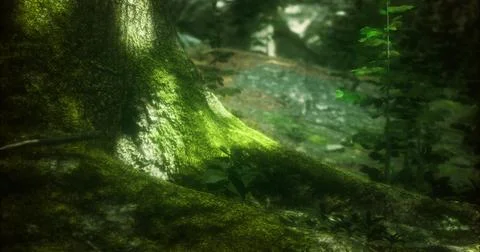 Moss covered tree trunk in a lush forest setting with soft sunlight Stock Illustration