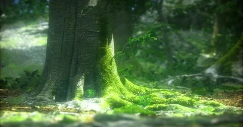 Moss covered tree trunk in a serene forest setting during daylight Stock-Illustration