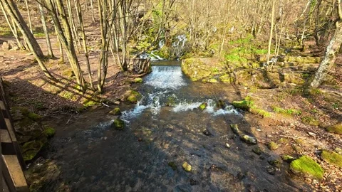 Moss-covered trees frame a clear, flowing stream. Grza River Spring, Serbia Vidéo 332373622
