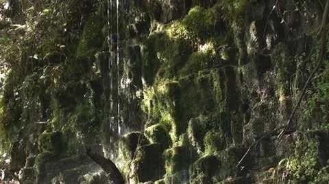 Moss Covered Waterfall Stock Footage 11100679