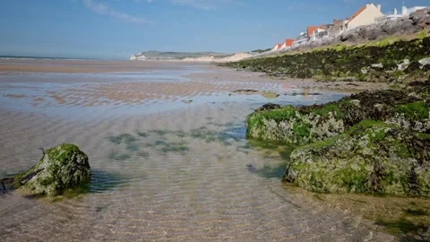 Moss Covering Rocks in the Opal Coast, North of France Video stock 335741594