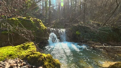 Moss covers rocks beside a small waterfall. Mount Ozren Vidéo 330662716