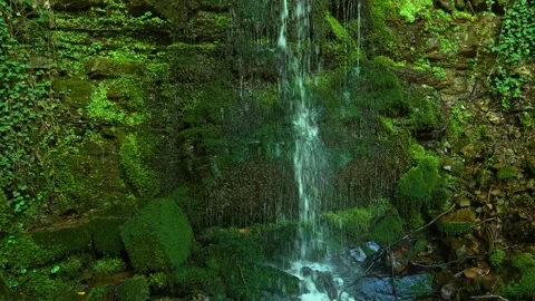 Moss covers wet rocks beside a small waterfall. Balkans, Serbia. Video stock 336893390