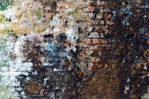 Moss dirty wall background Stock Photos