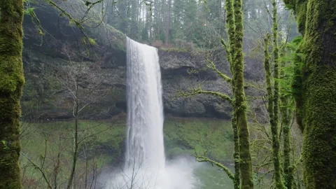 Moss-draped trees frame a majestic waterfall cascading down a moss-covered .. Stock Footage 301087962