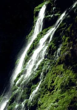 Moss Falls 스톡 사진