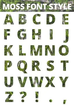 Moss font style Stock Illustration