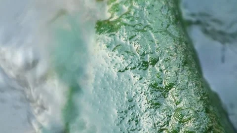 Moss 库存影片 336224143