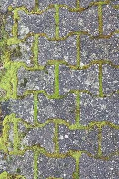 Moss forms a natural pattern between stone blocks, creating a beautiful backdrop Stockfoto's
