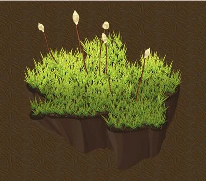 Moss on the ground Stock Illustration