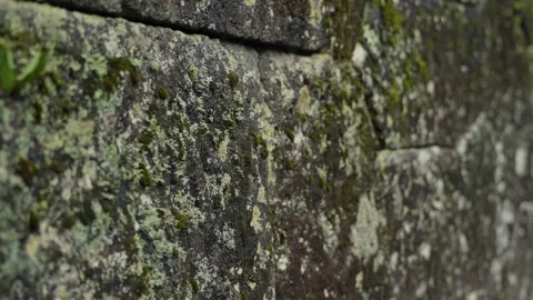 Moss growing on an ancient stone wall in Nikko, Japan Stock Footage 344010603