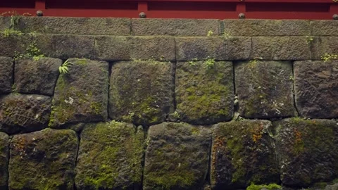 Moss growing on ancient stone wall at Toshogu shrine in Nikko, Japan 動画素材 344010622
