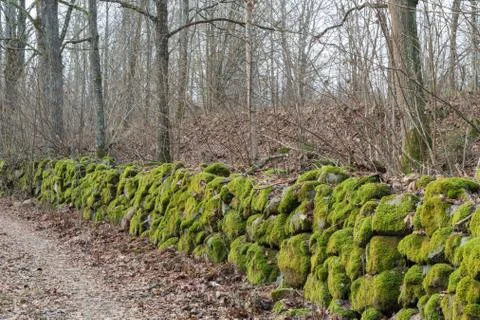 Moss-grown stone wall Stock Photos