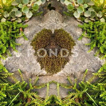 Moss heart on a stone Stock Photos