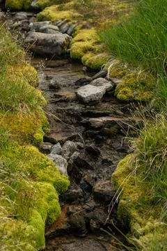 Moss Lined Creek Flows Through A Meadow Of Spray Park 库存照片