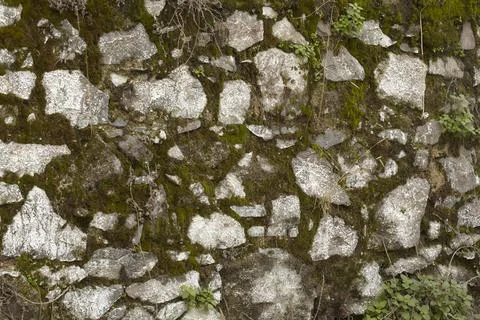 Moss on old stone wall Stock Photos