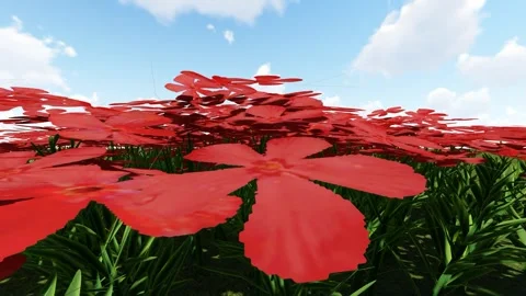 Moss Phlox Red Flower Video stock 339474902