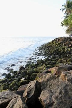 The moss rock at the beach Foto stock