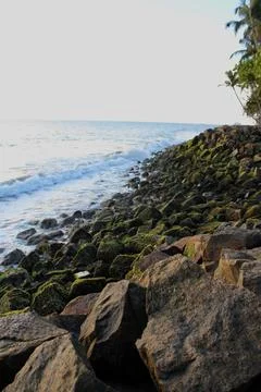 The moss rock at the beach Stock Photos