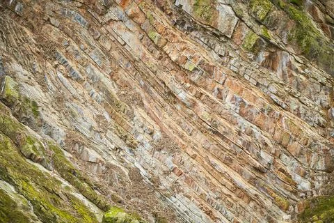 Moss on a rock face. Stock Photos