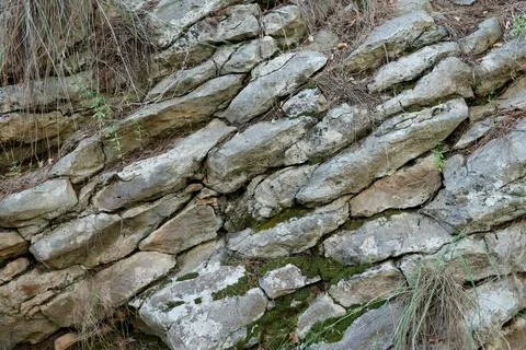 Moss on rock face relief texture of stone with patterns Stock Illustration