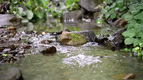 Moss rock on the mountain stream Stock Footage 100266954
