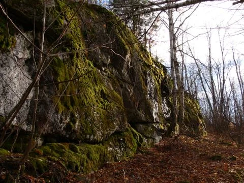Moss Rock Wall Stock Photos