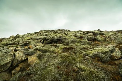 Moss on rocks at a mountain Stock Photos