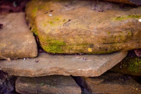 Moss on the rocks Stock Photos