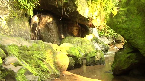 Moss on the rocks by the river in Bali Stock Footage 41380077