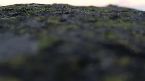 Moss on the rocks. Selective focus Stock Footage 190011622